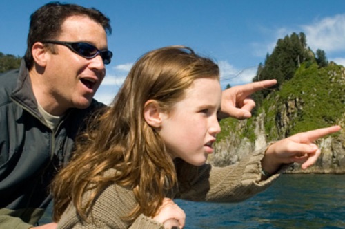 Northwestern Fjord Cruise